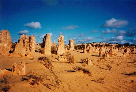 The Pinnacles / Nambung NP. (Australië - 2003)