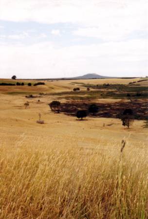 Typisch landschap rond Hamilton (Victoria) met de vulkaan Mt. Gambier op de achtergrond.