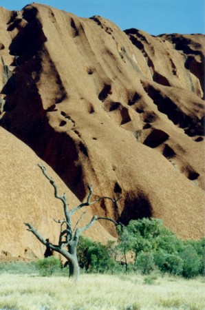 Uluru (Ayer's Rock).