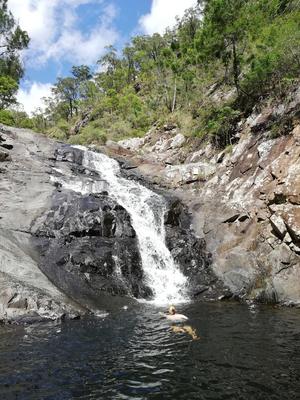 Zwemmen bij Cedar Creek Falls. (Australië - 2018)