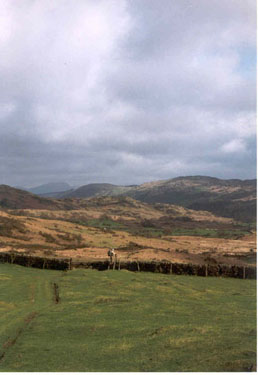 Kiln Bank, Cumbria. (United Kingdom - 2001)