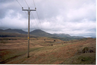 Trover Low Common (Cumbria) (United Kingdom - 2001)