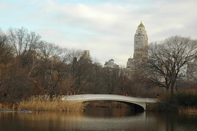 Central Park, New York. (Amerika - 2005)