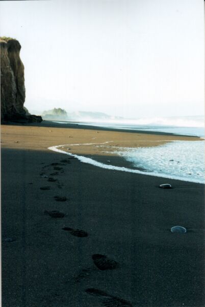 De Kaikoura Coast. (Nieuw Zeeland - 2002)