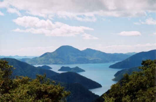 Tennyson Inlet - Marlborough Sounds. (Nieuw Zeeland - 2002)