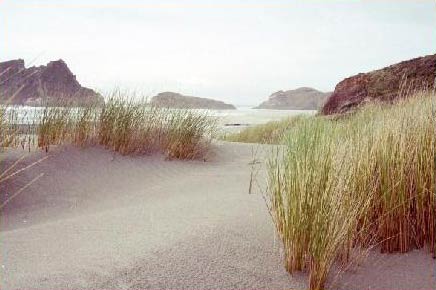 Wharariki Beach - Farewell Spit. (Nieuw Zeeland - 2002)