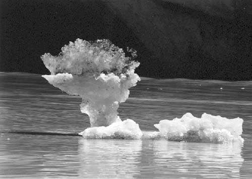 Verse ijsschotsen op Tasman Glacier Lake - Mt. Cook National Park.
